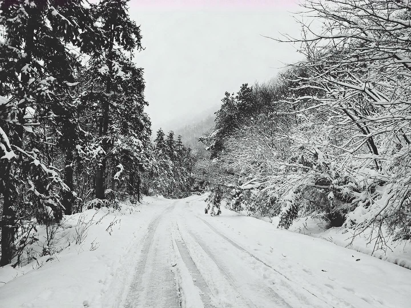 冬日随拍大山里的雪