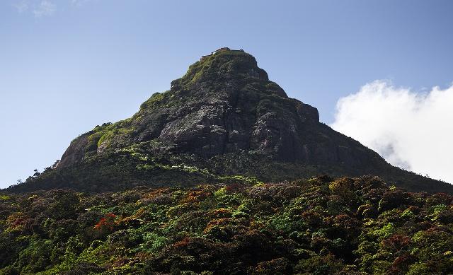 亚当峰又名圣足山,是斯里兰卡圣山,位于斯里兰卡中南部