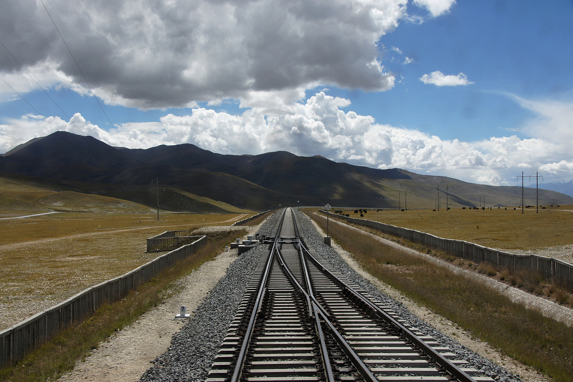 镜头里的春天#   春暖花开:探索天路之旅——青藏高原铁路的诗篇 在 