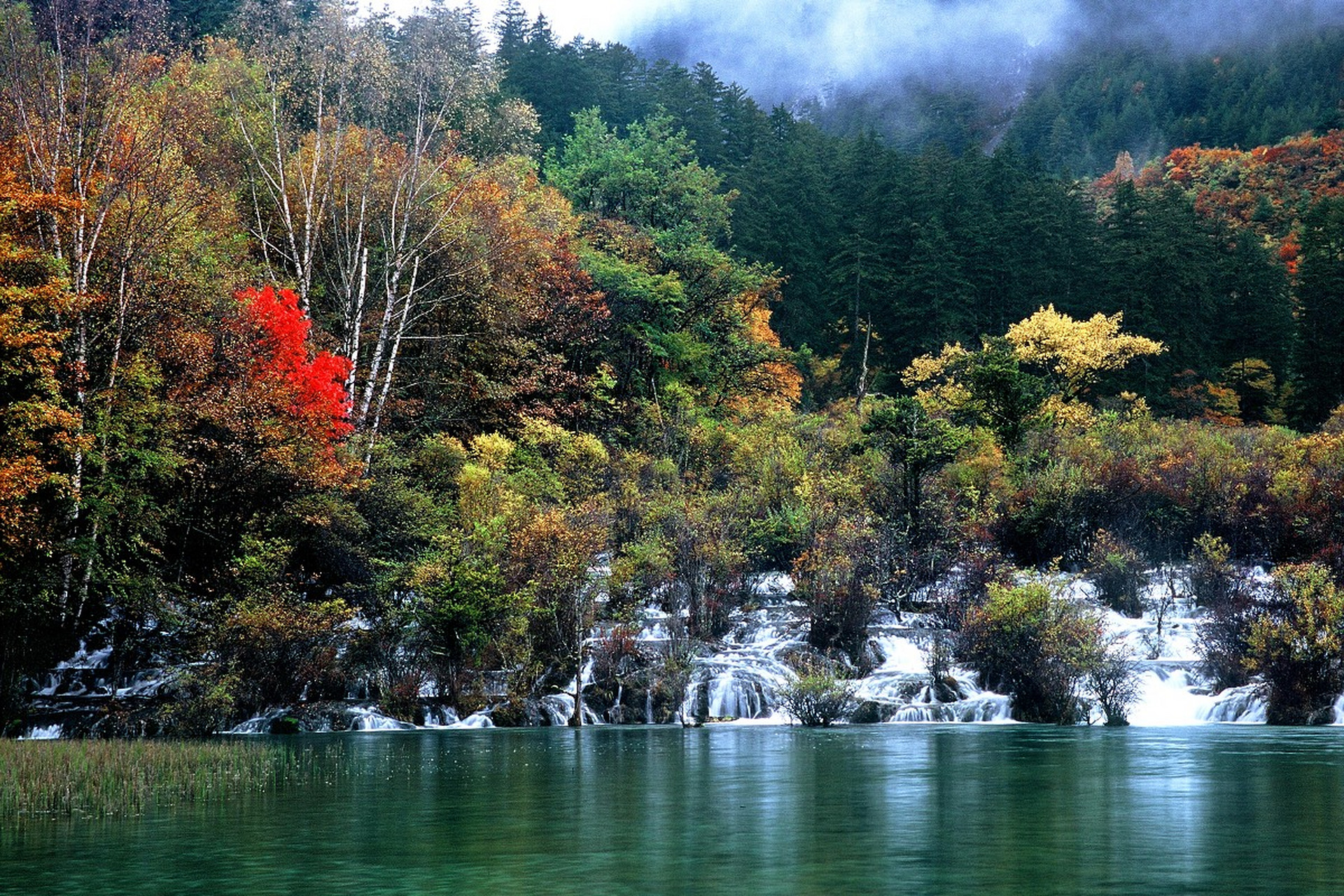 置身于这片神奇的大自然中,我仿佛忘记了尘世的纷扰,只专注于眼前的
