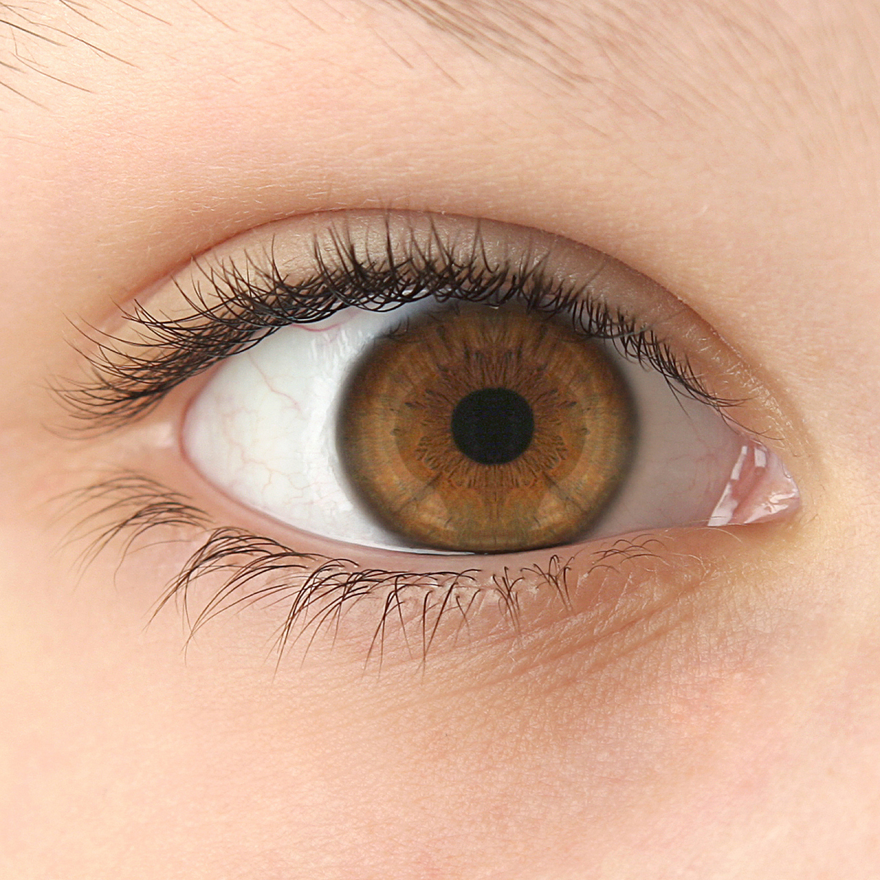 小眼睛的人内敛固执,适合学者和艺术家之路.