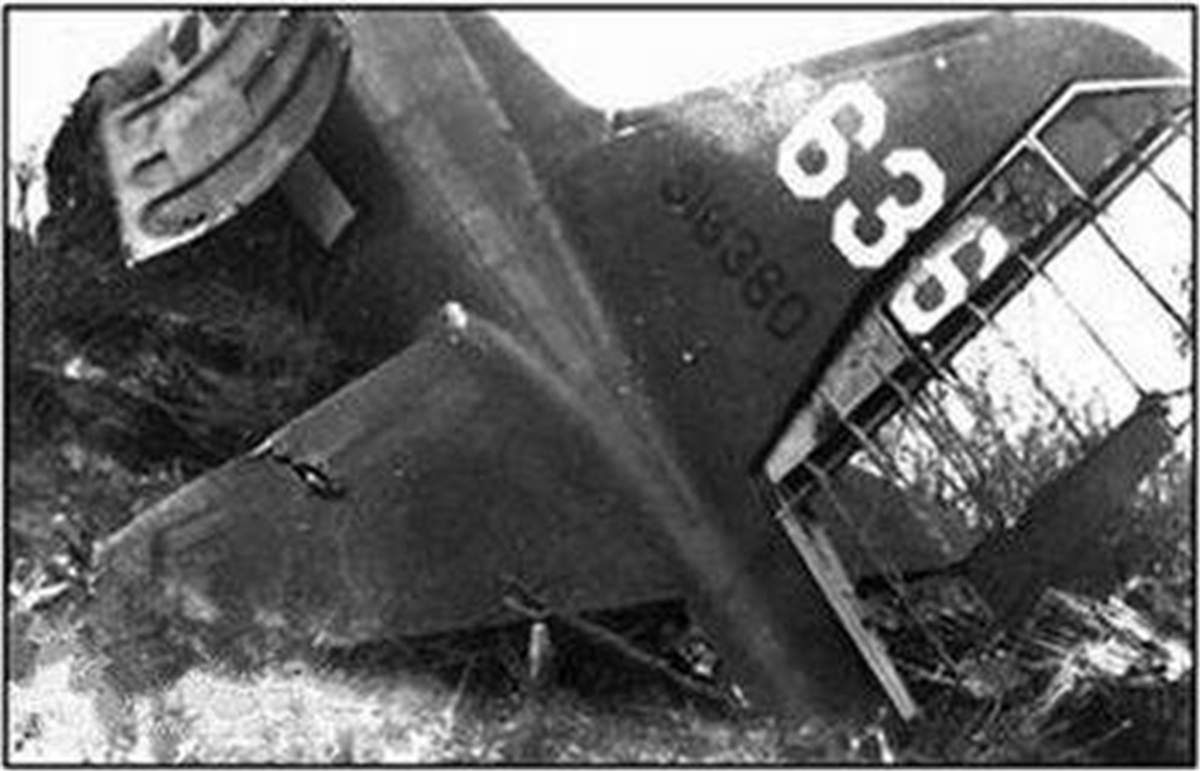 叶挺将军黑茶山空难之谜,究竟是人为还是意外?多年后真相浮揭露