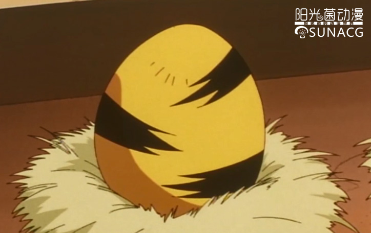 《精灵宝可梦》系列动画中的神奇宝贝蛋,仅凭纹样能认出几个?