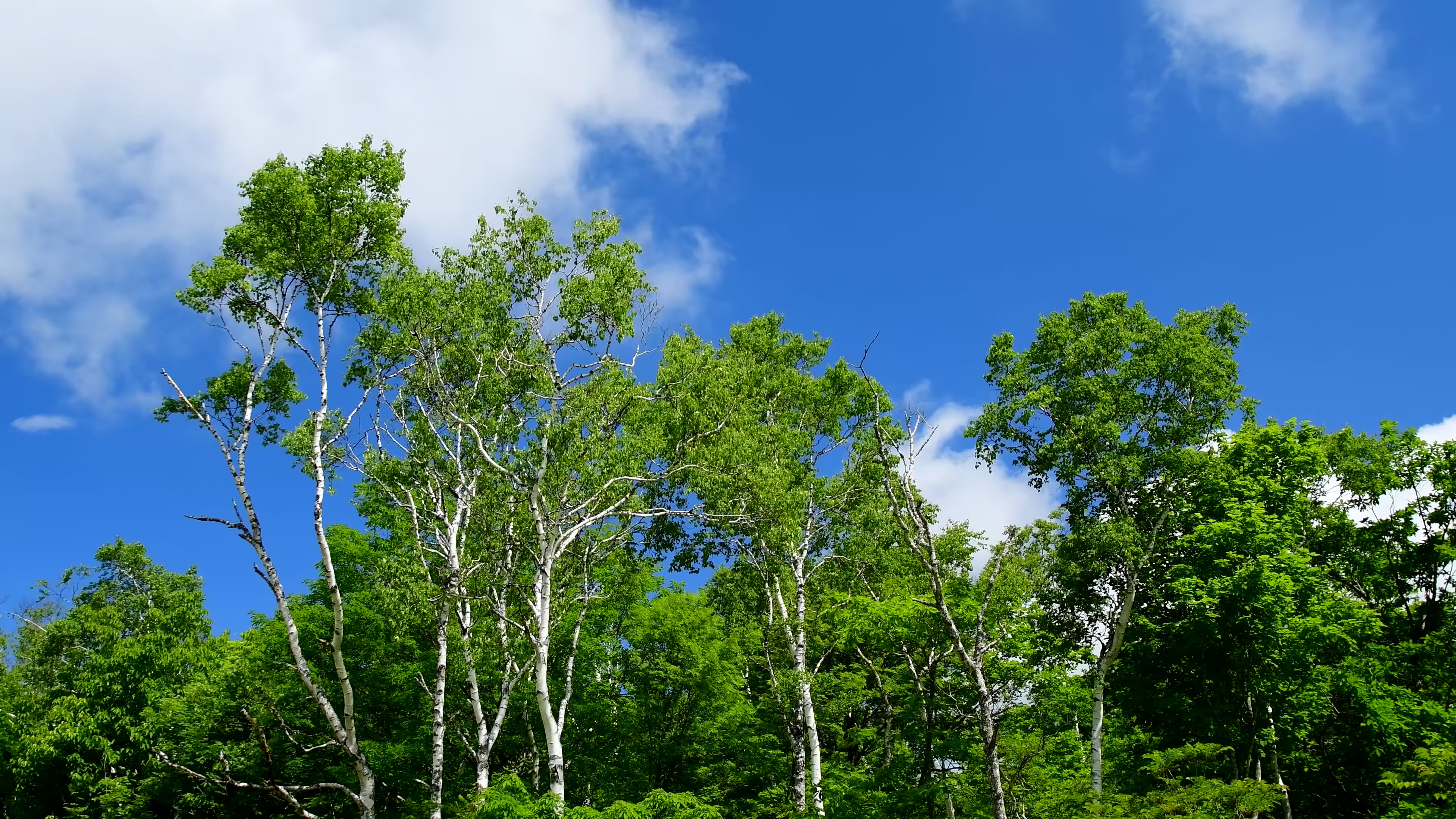 静态风景 第十二期
