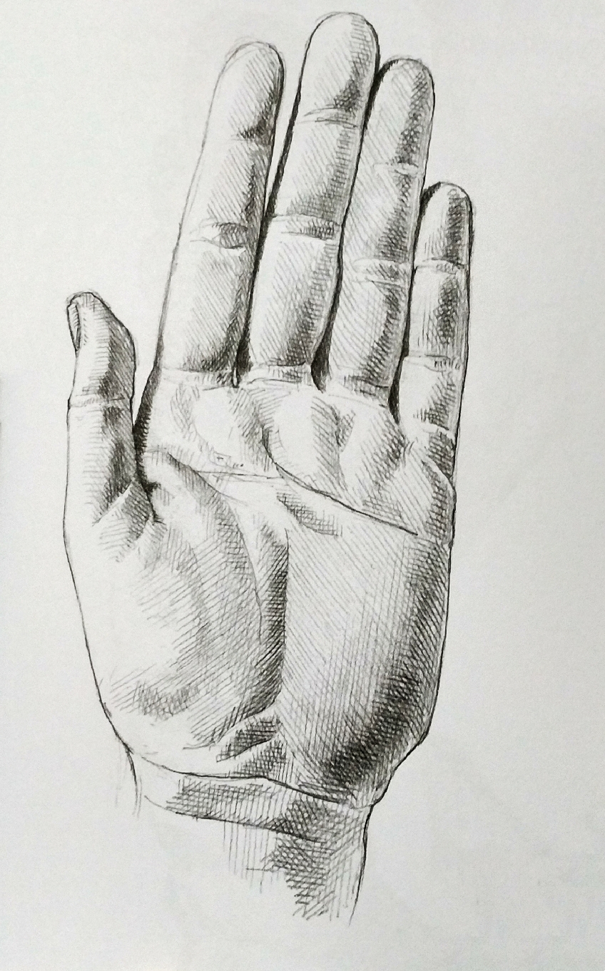 爱上手绘:手的素描画法