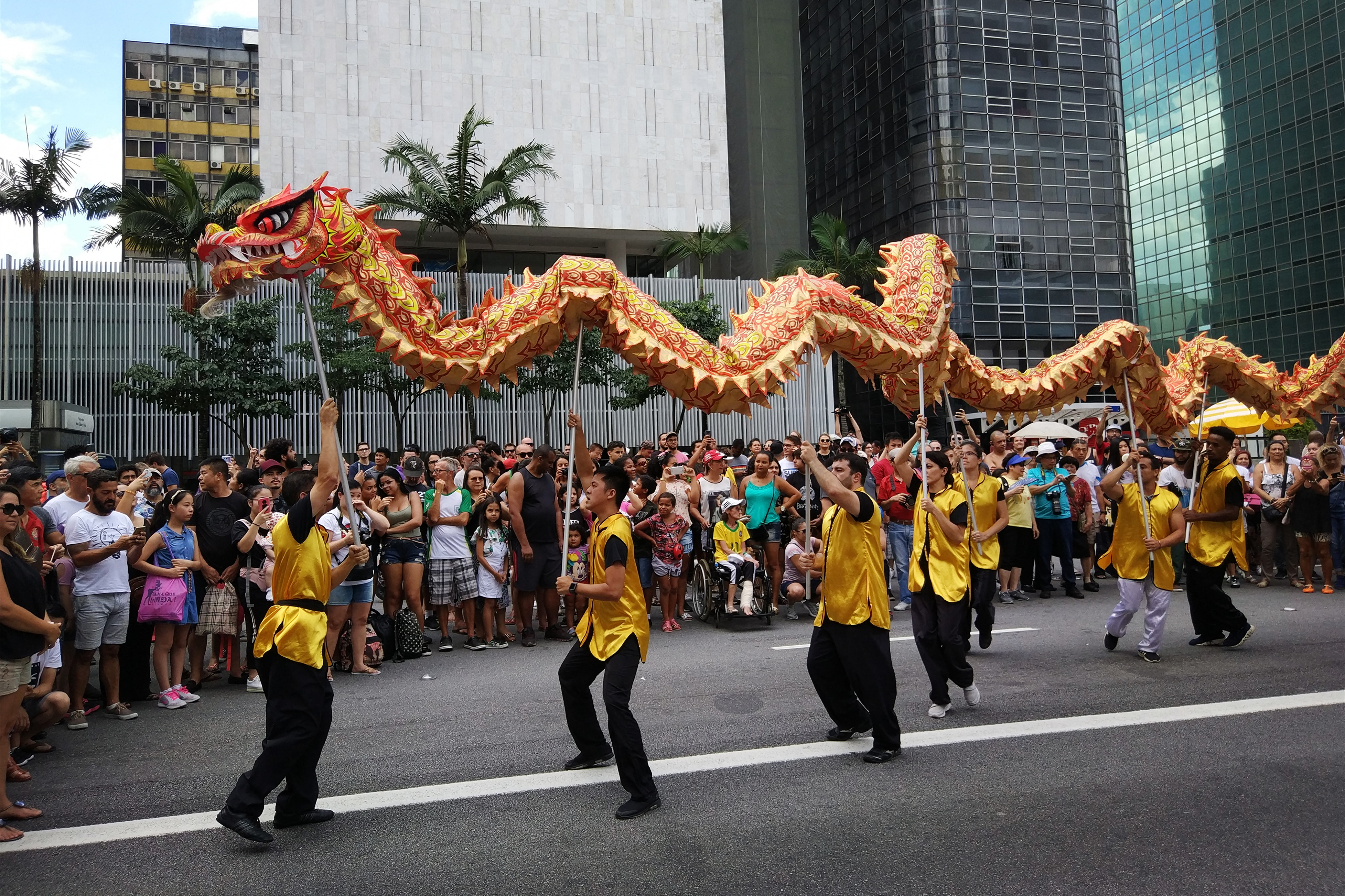 巴西圣保罗举行"唱响中国"迎新春快闪活动(1)