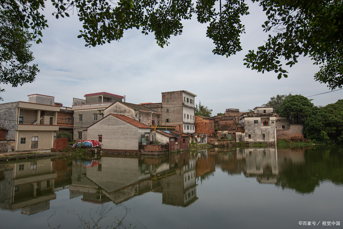 肇庆市八卦村图片