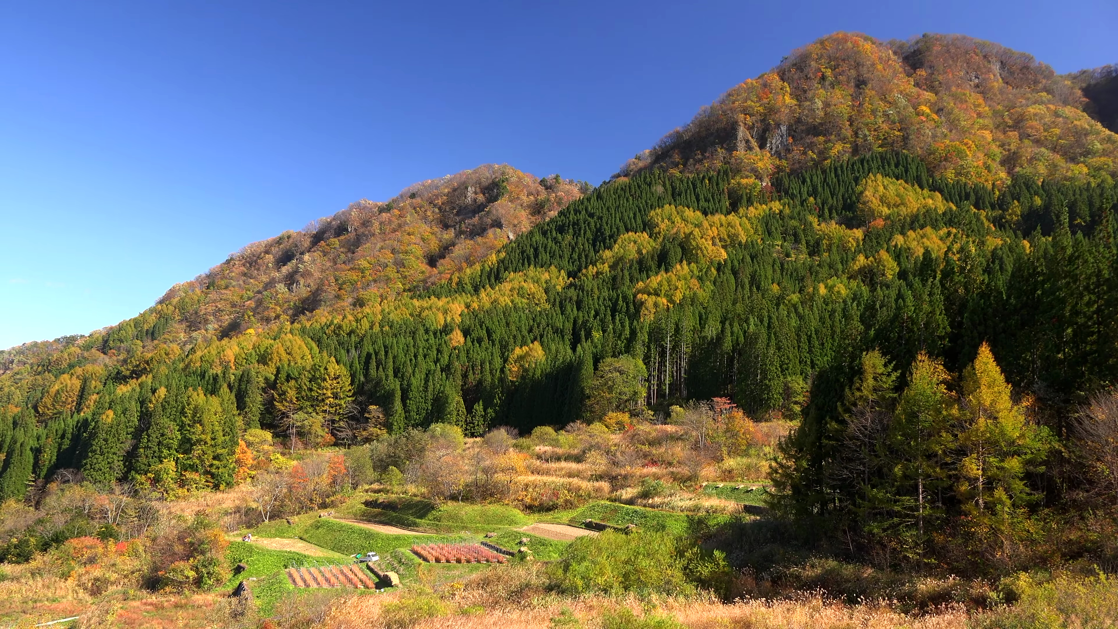唯美风景|第八期