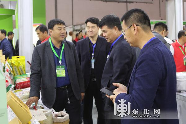 海伦市长韩启彬巡展.东北网记者 陈显春 摄