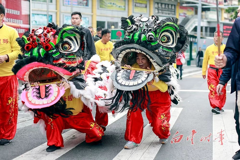 霸气!38个狮队,近60头醒狮,今日粤桂两地齐聚三元里村闹元宵(多图)