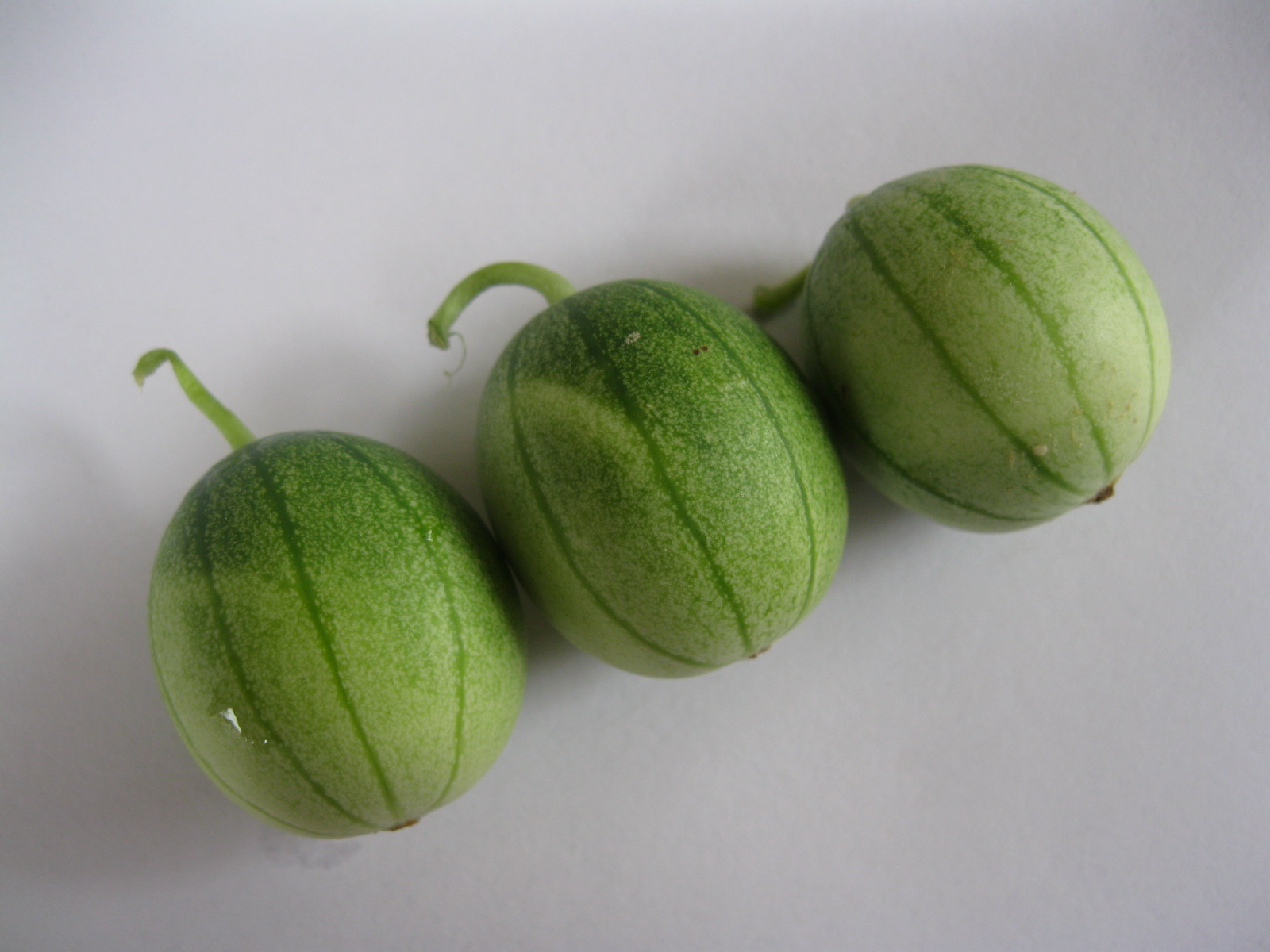 农村这种常见野果,被称之为酒精天敌,喝酒前吃,比醒酒药还管用