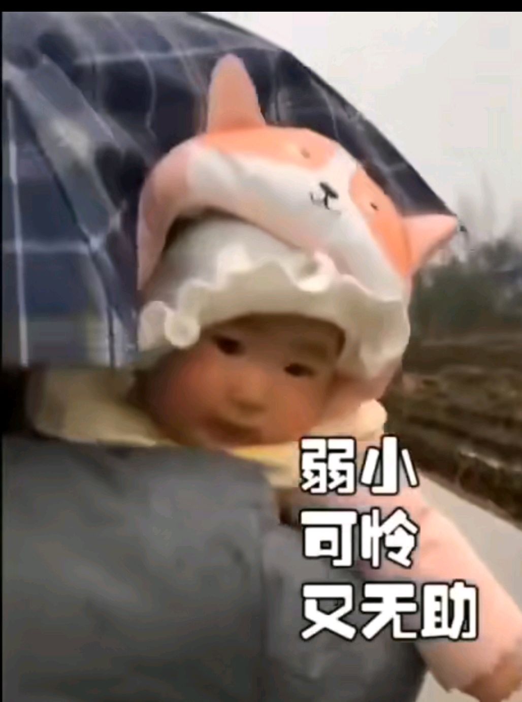 那些年,如山体滑坡般的父爱啊!