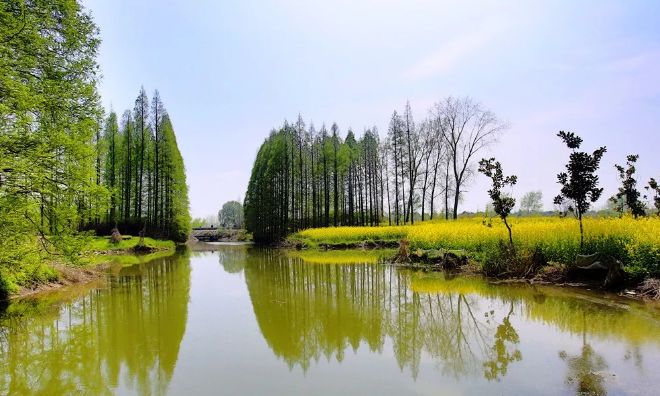 南通隱匿的仙境鄉村,隨手拍就美得讓人嫉妒!五一逃離都市就去這!