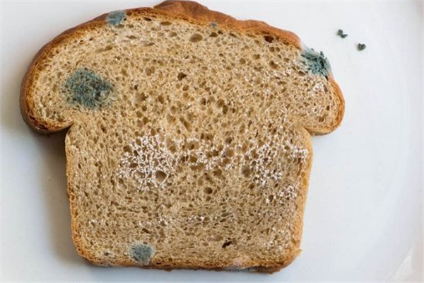 三种强致癌物,为了你和家人的健康,看见就扔掉!