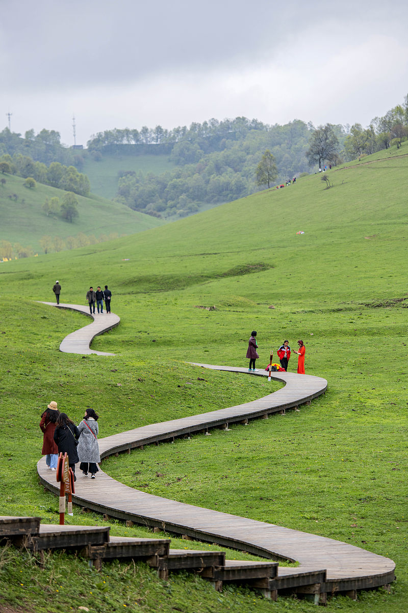比主城区凉快至少10℃,夏天往山上一钻,瞬间从"火炉千野草场千野草场