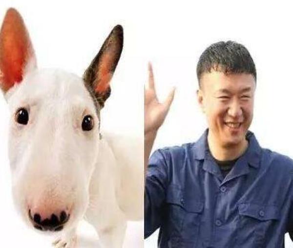 娱乐圈中男星撞脸各种犬系表情,都快被玩坏了!