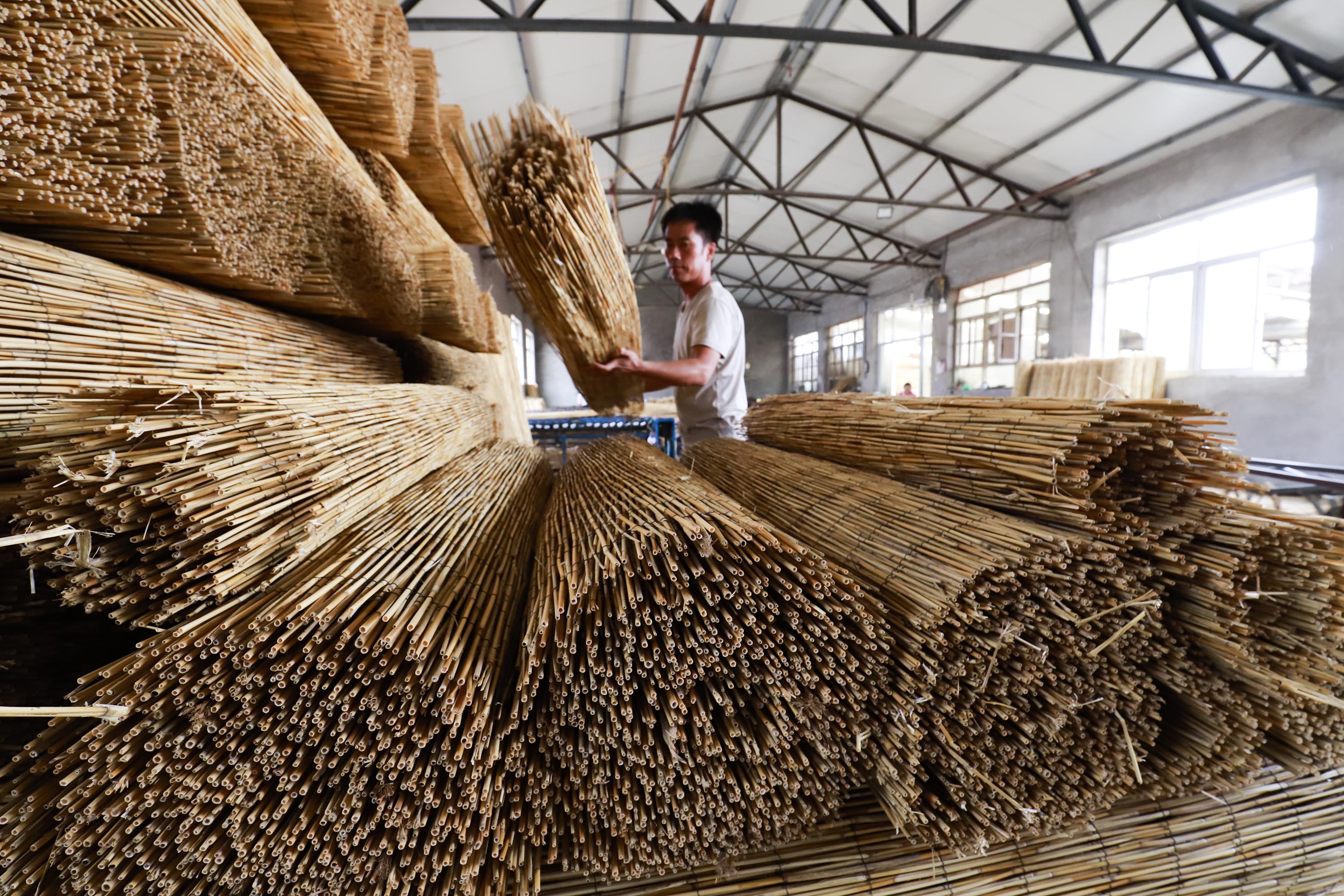 芦苇编织产销忙(3)