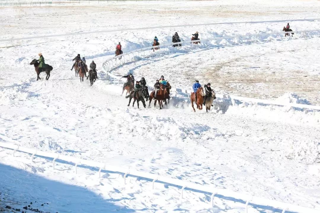 到了这里你可千万不能错过 雪地赛马,叼羊,猎狗抓兔子等民俗活动 体验