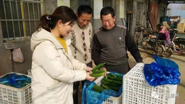 点赞!韩冬雪:办好合作社带富一方人
