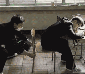 搞笑gif:一进家门,鞋还没换完,就接到陌生女人打来的