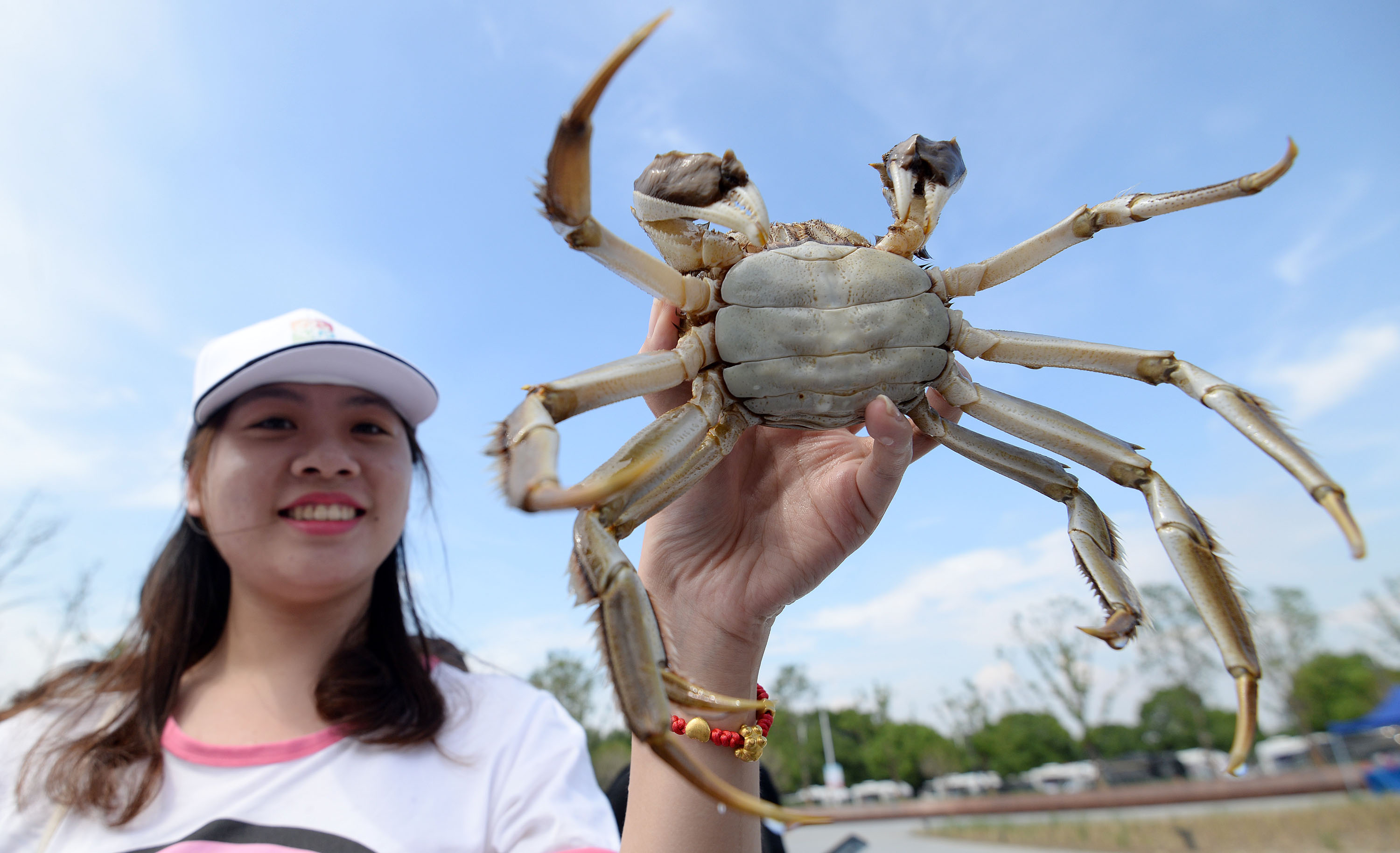 阳澄湖大闸蟹 现场图片