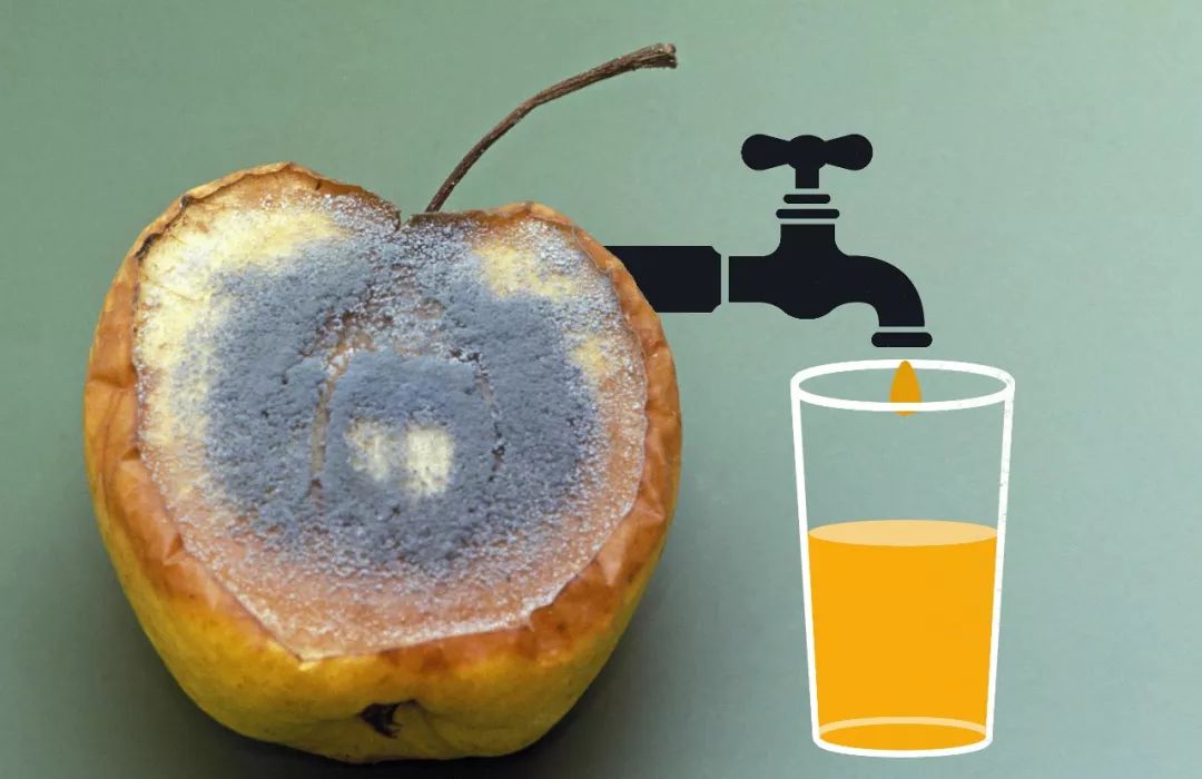 海升果汁事件牵出行业潜规则:"落地果"现象普遍,鲜榨果汁实为勾兑