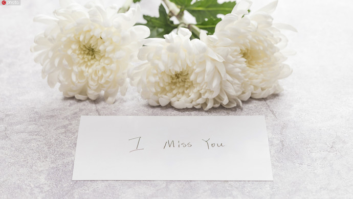 武汉市发布通告:清明节期间,全市暂停现场祭扫服务