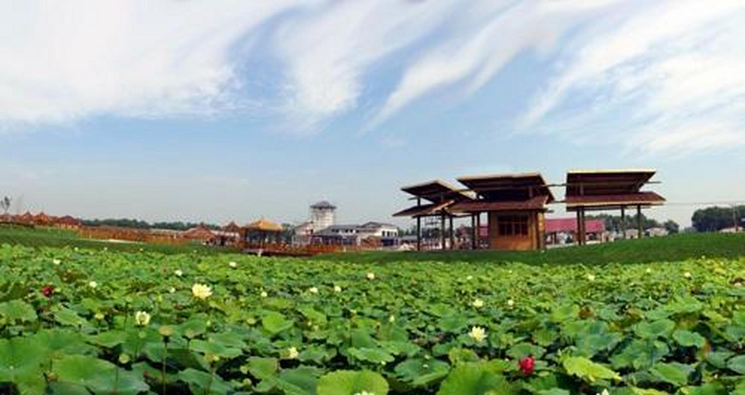 新年味#02#春节地标打卡#【天津水高庄园】温室栽培温室栽培温室