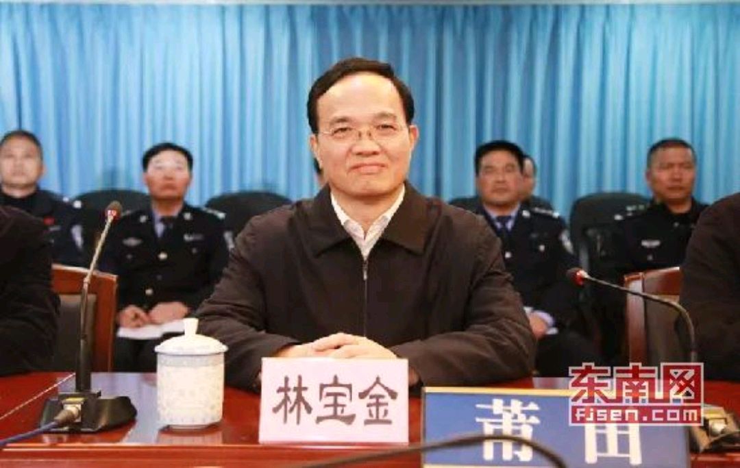 提出在全面从严治党中要敢于碰硬的林宝金 现任福建省副省长