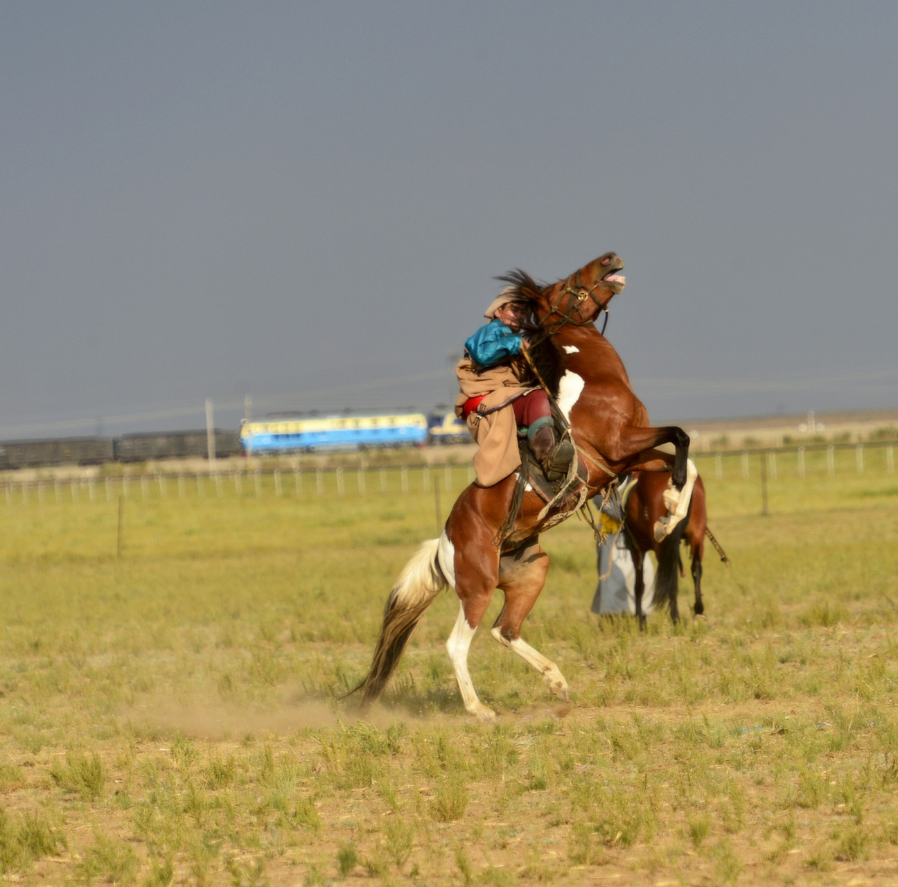 我和草原有个约定,去内蒙古骑马喝酒走四方  我和草原有个约定,那是在