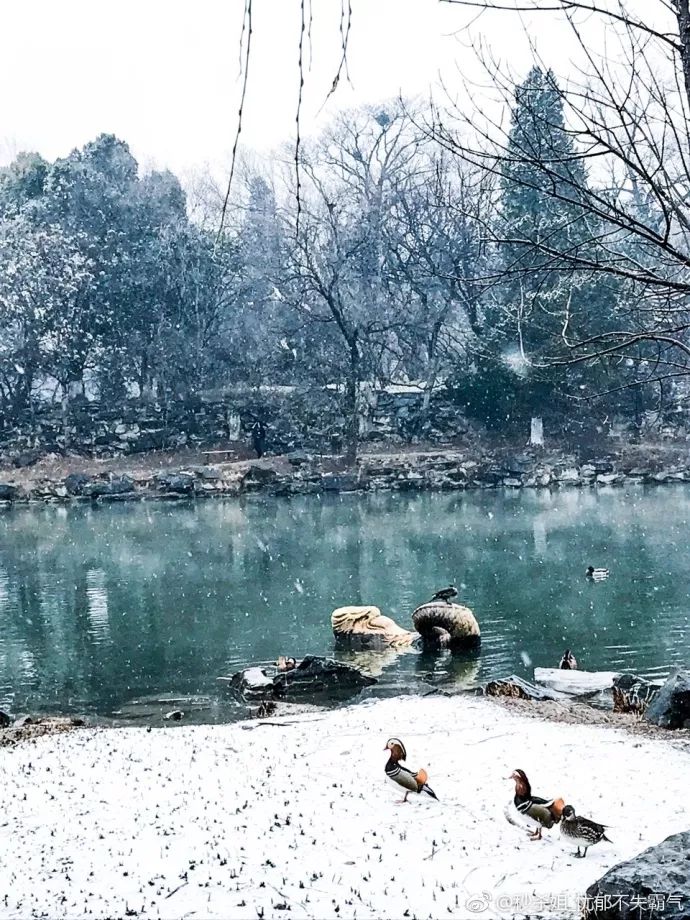 未名湖雪景图片