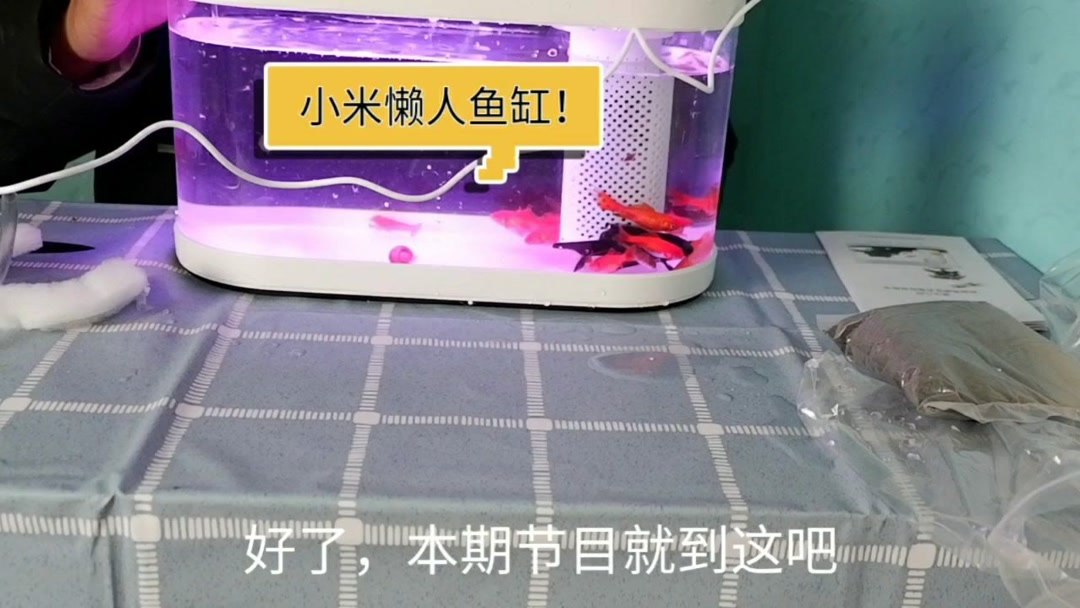 开箱试玩小米有品懒人鱼缸,真正的懒人神器,太实用了!
