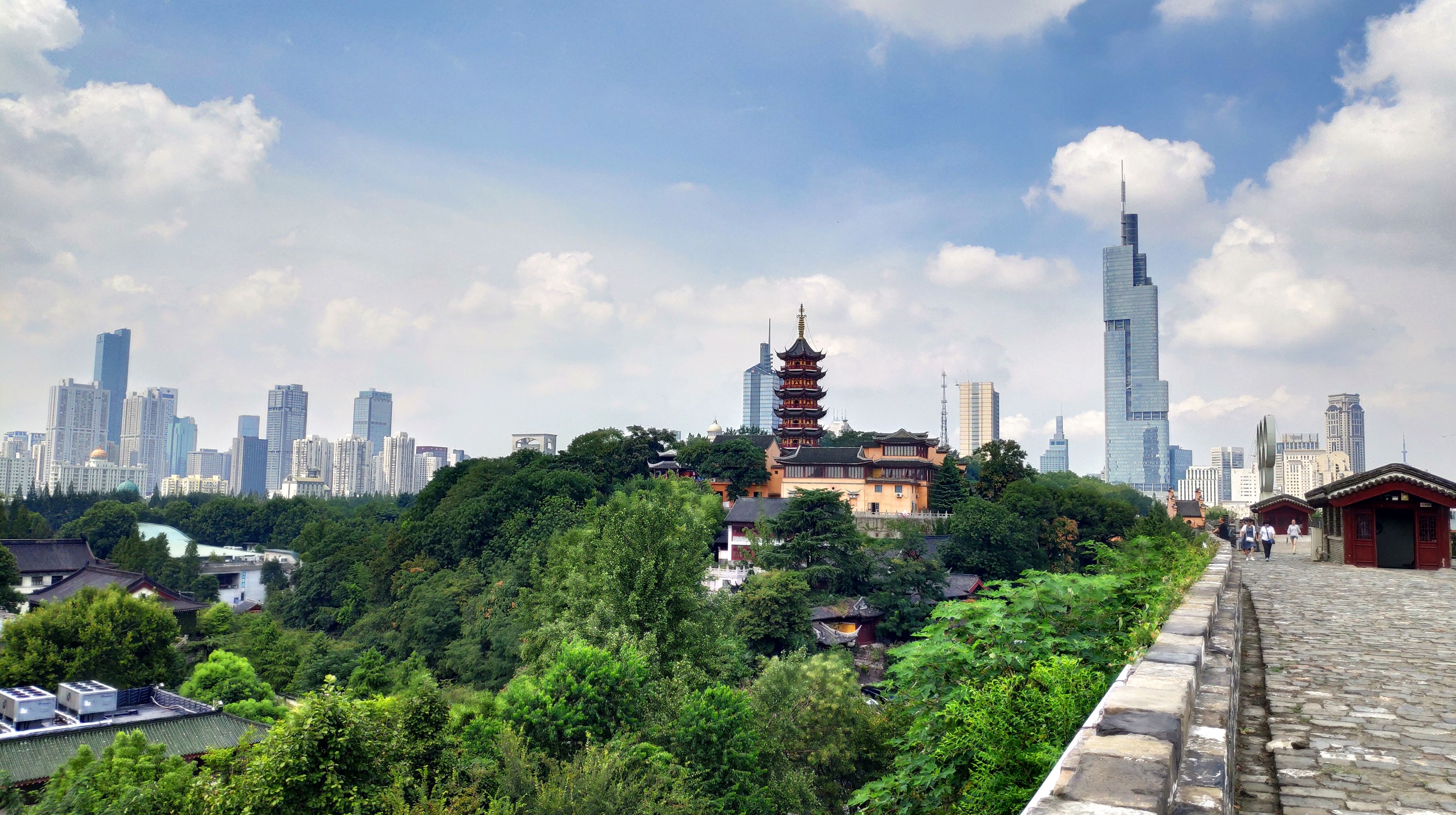 夏日里,南京市最美的风光