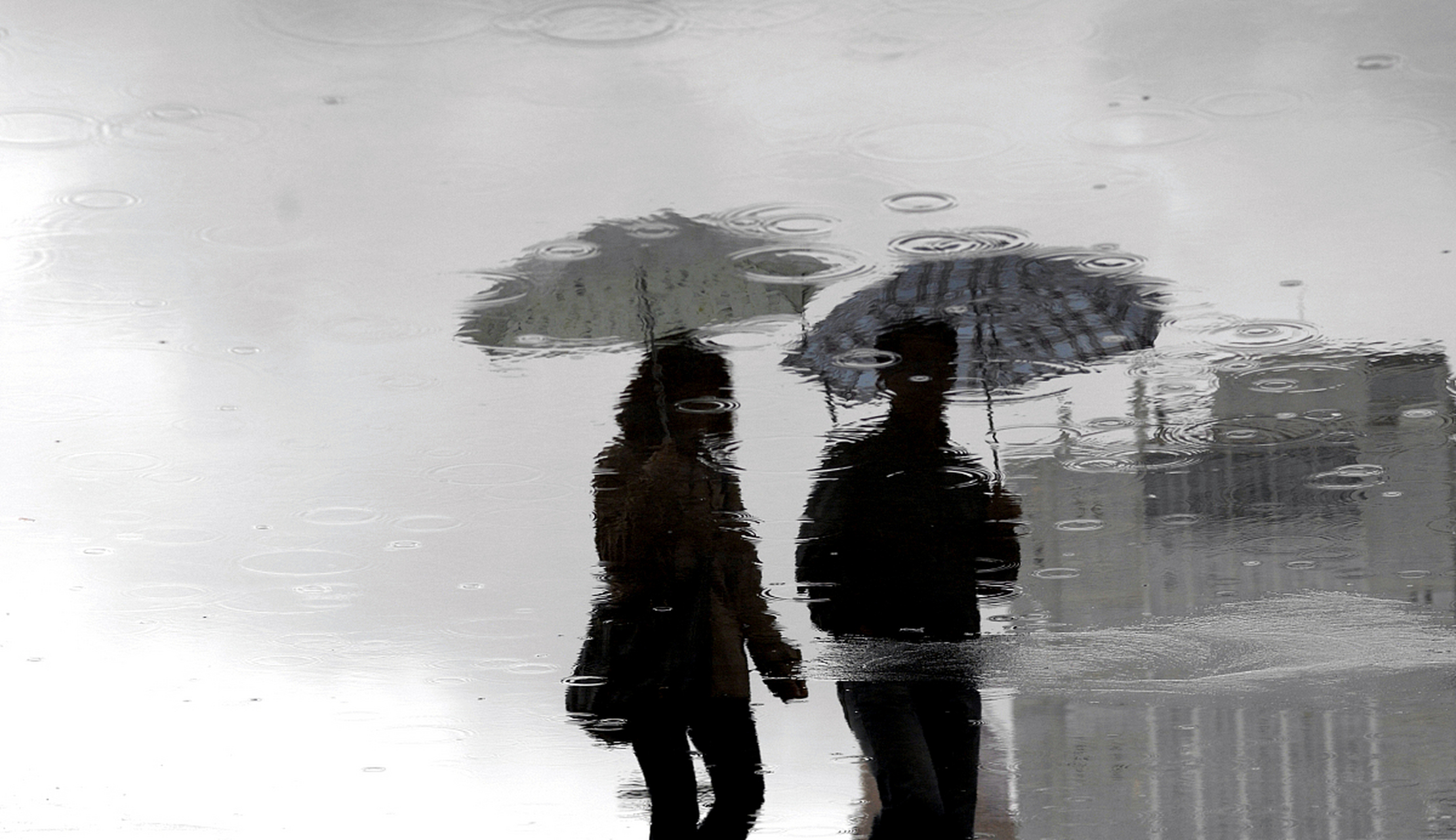 八月创作激励计划# #伤感