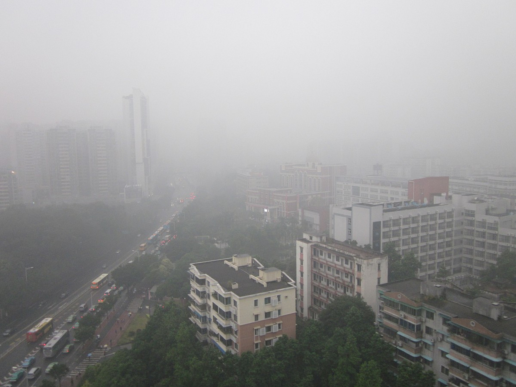 近日,广东持续阴雨天气,3月的春天也因为这个原因而变得异常湿润.