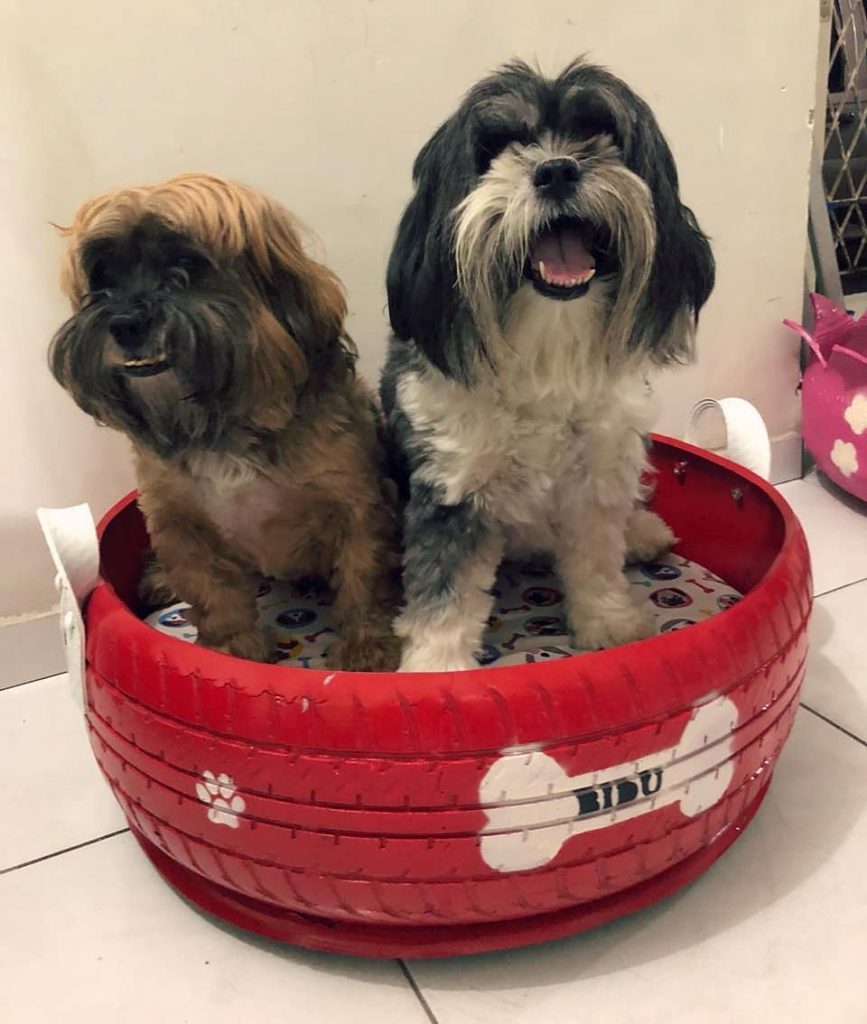 巴西小哥回收旧轮胎做狗窝,每个上面都有汪星人的名字!