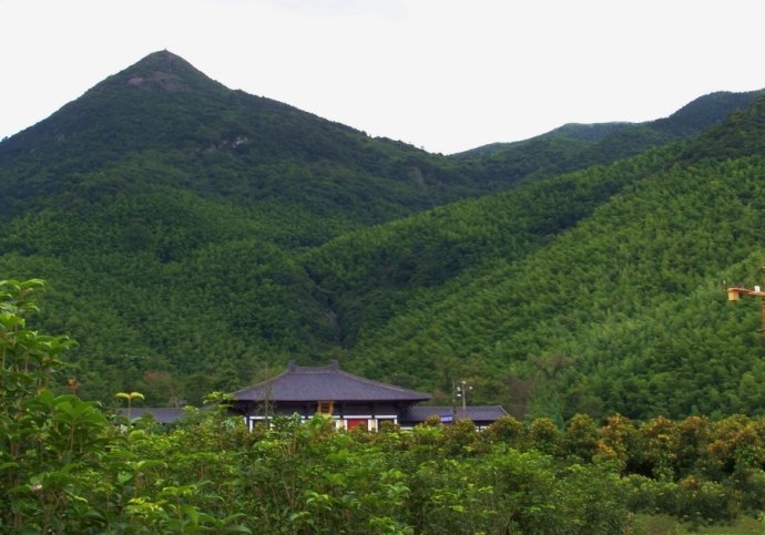 亲者不问,才是即心即佛