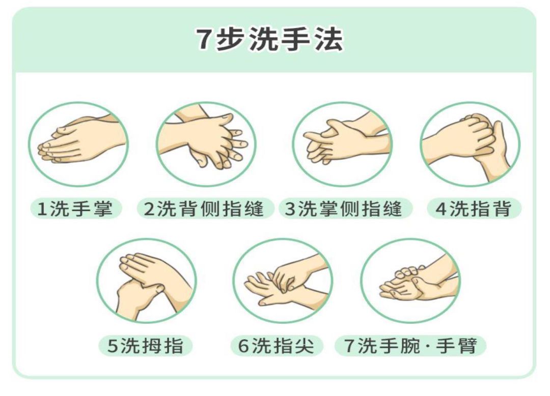 新冠洗手法的七个步骤图片