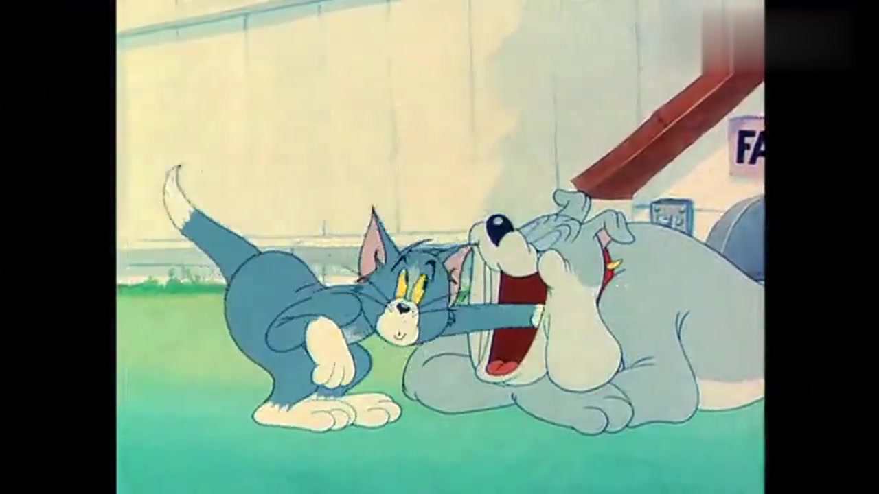 动漫壁纸:汤姆把手伸进了大狗的嘴里,被大狗一下咬住,爆笑不断