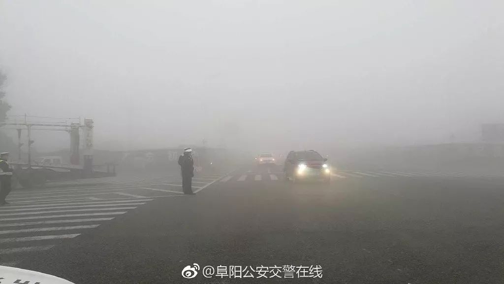 大雾来袭!局部能见度低于50米!高速已封闭