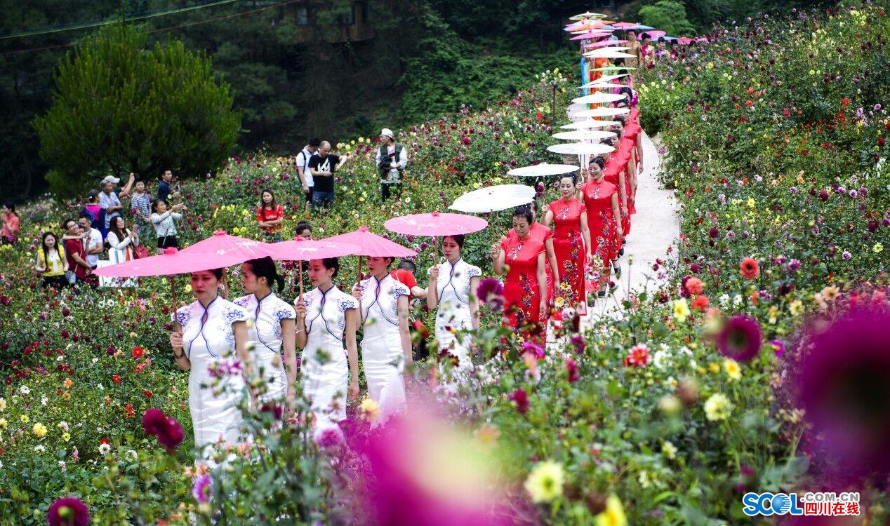 广安邻水四季花海图片