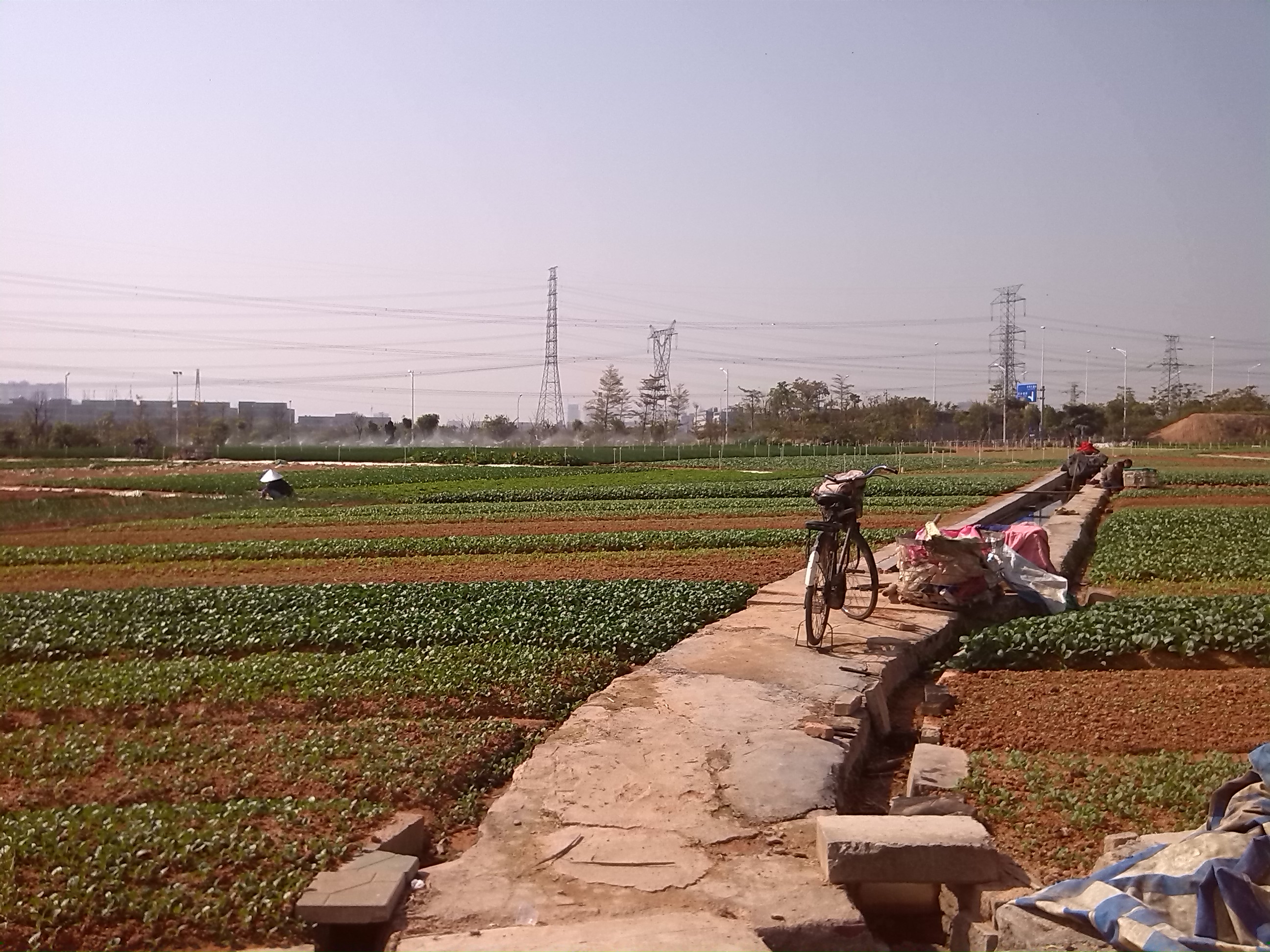 细竹杆 - 热门商品专区