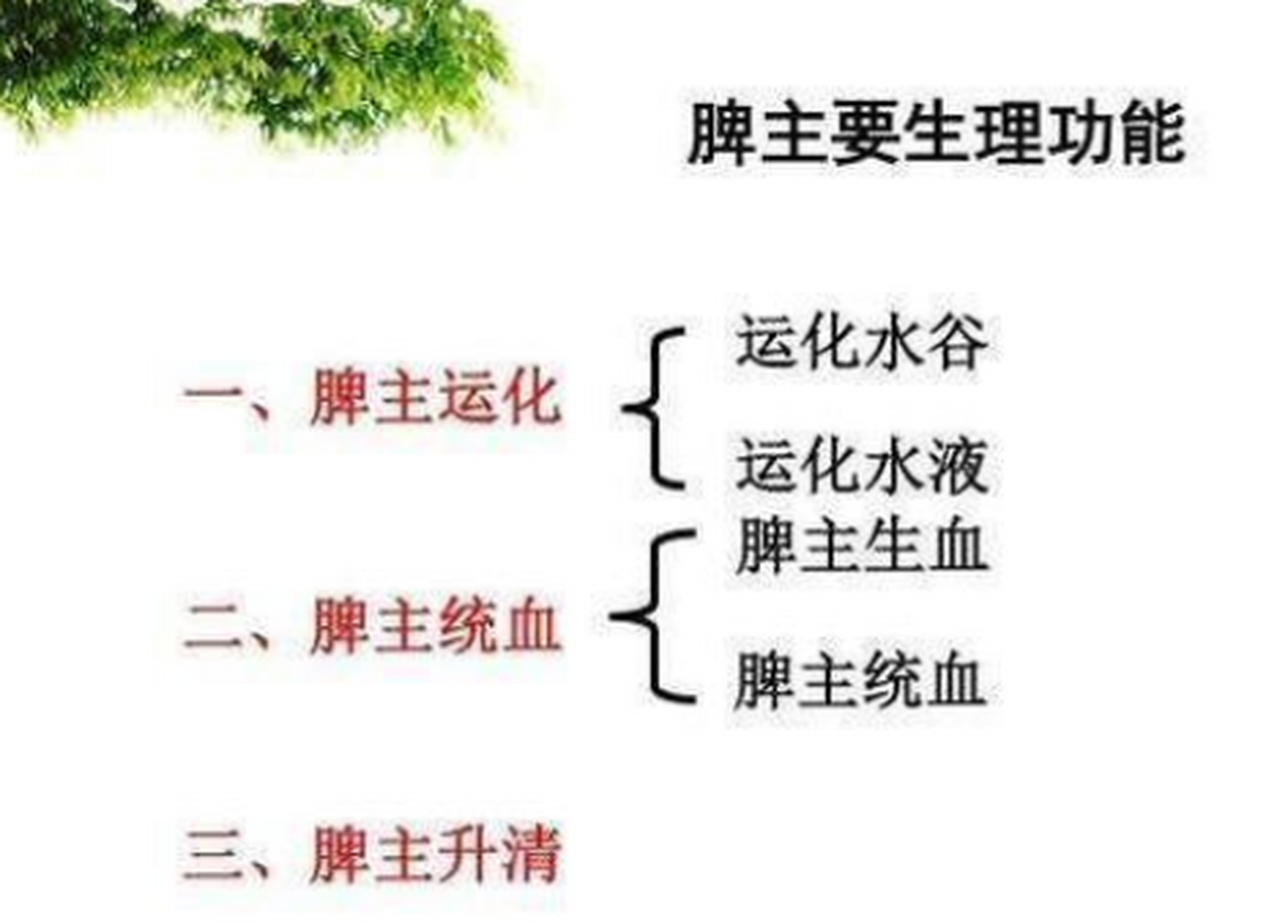 脾运化水谷的过程 1,胃初步腐熟消化的饮食物,经小肠的泌别清浊作用