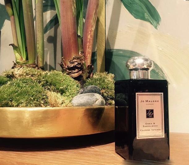 参观袁泉住的豪宅,房屋设计时尚简约,书房装修最用心了