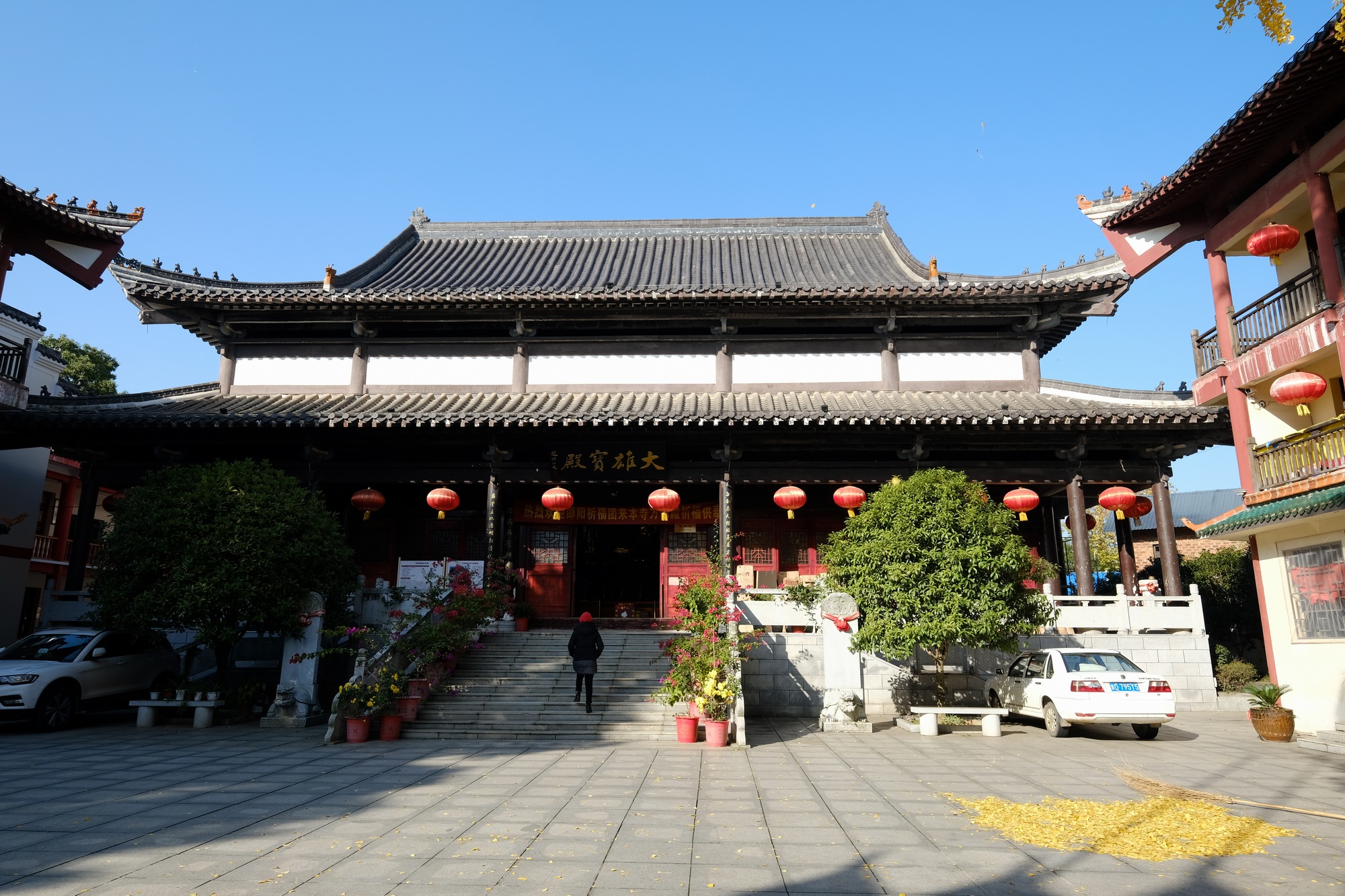 湖南韶山旅游区银田镇有个银田寺,院内一棵古银杏那是非常漂亮的.