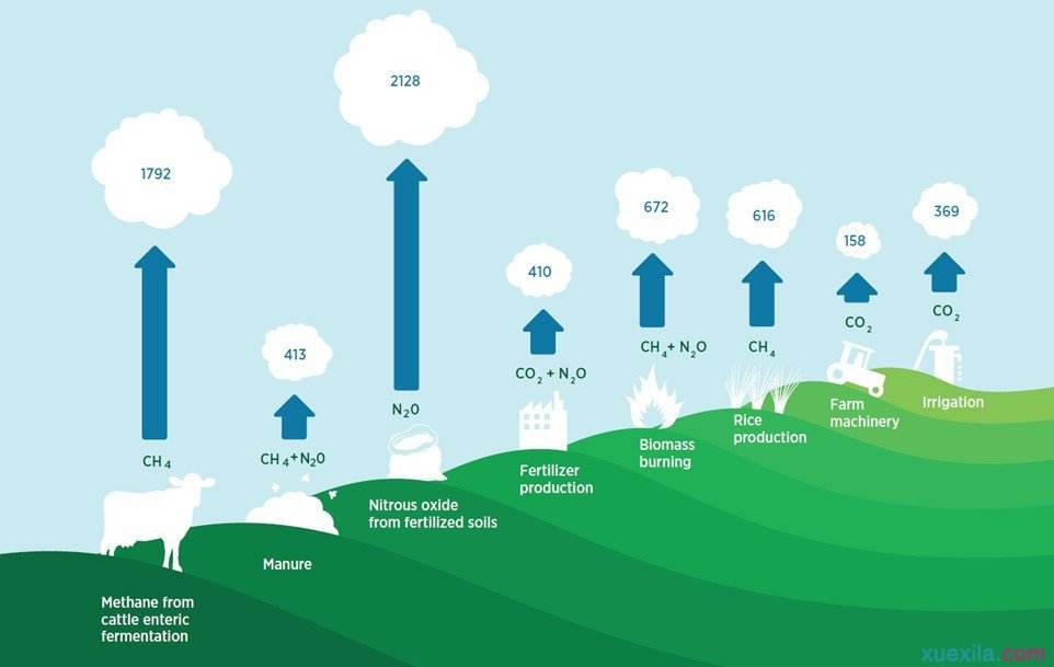 稻田的一氧化二氮等温室气体排放引起了全球气候检测部门的关注