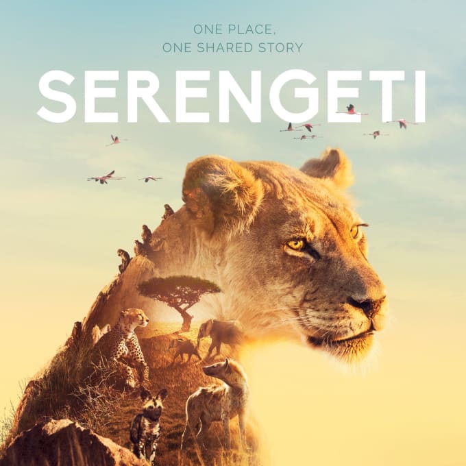 叶小文:"塞伦盖蒂法则"和被动中求变"调节"