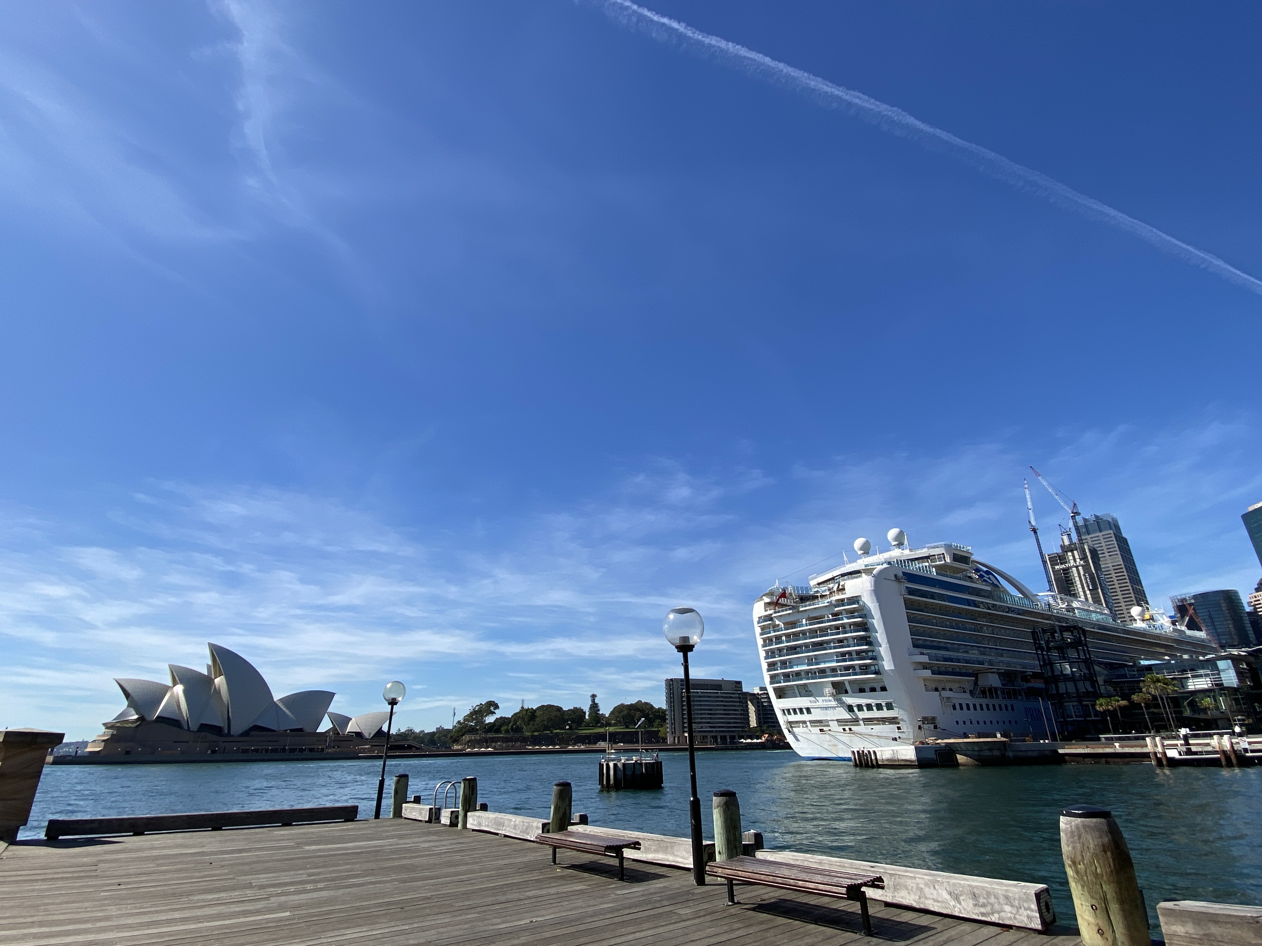 悉尼:"红宝石公主"号邮轮4人感染新冠肺炎