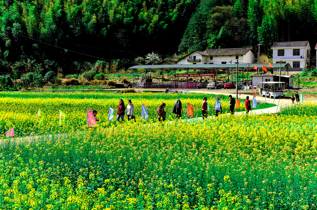 要火啦!浏阳这个村又上榜,成全省的样板村!