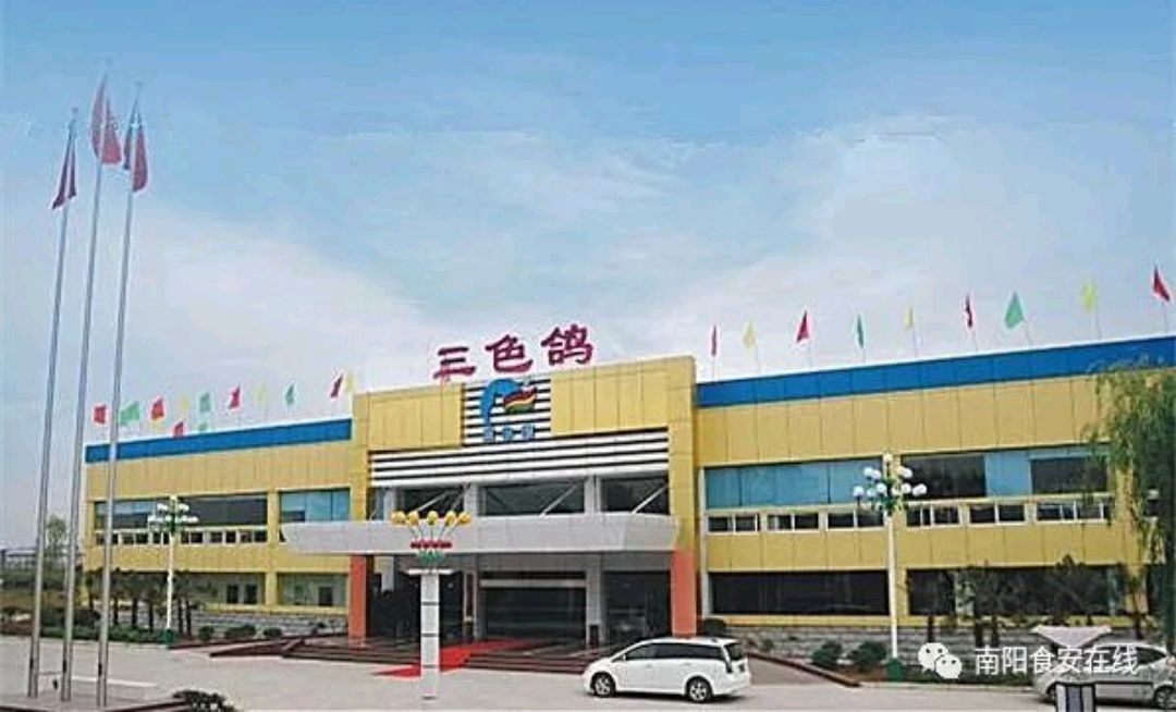 南阳三色鸽快速售后服务,维护消费者权益